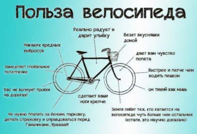 польза от велосипеда